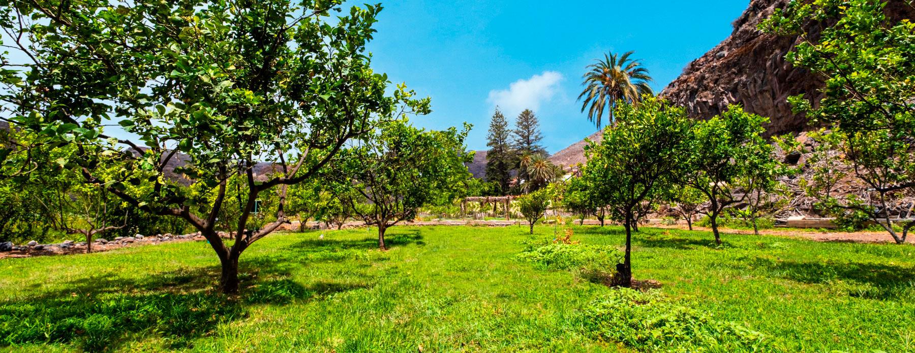eco-finca-tecina