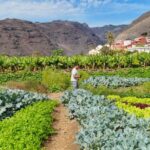 huerta sostenible, sustainable