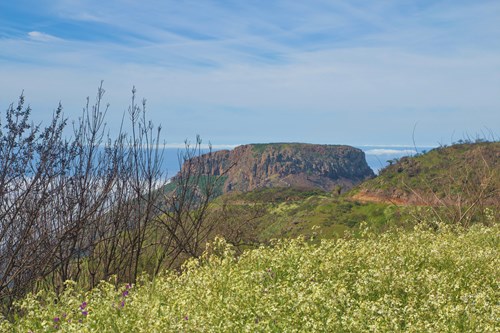La Fortaleza