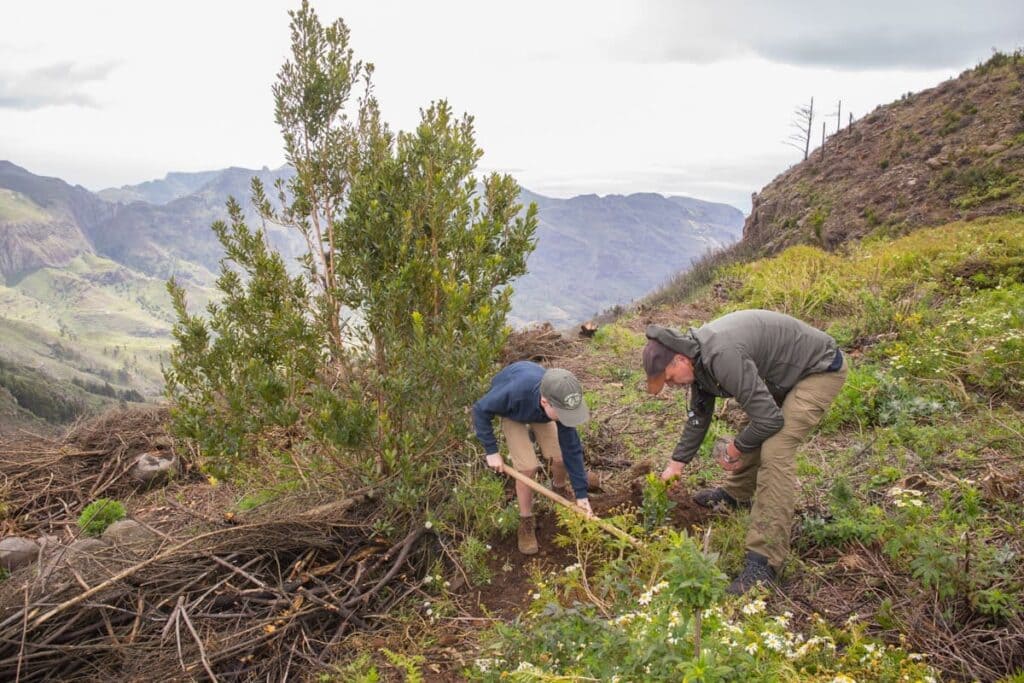 trabajando en la finca