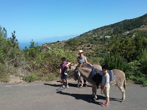 paseo_burro_gomera
