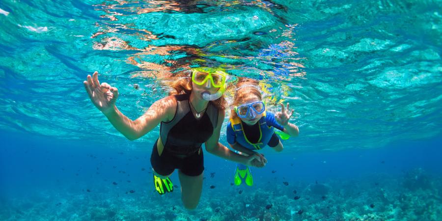 snorkel la gomera