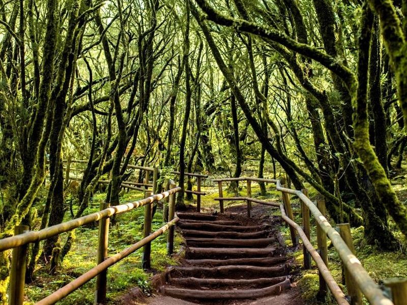 5-must-de-la-gomera