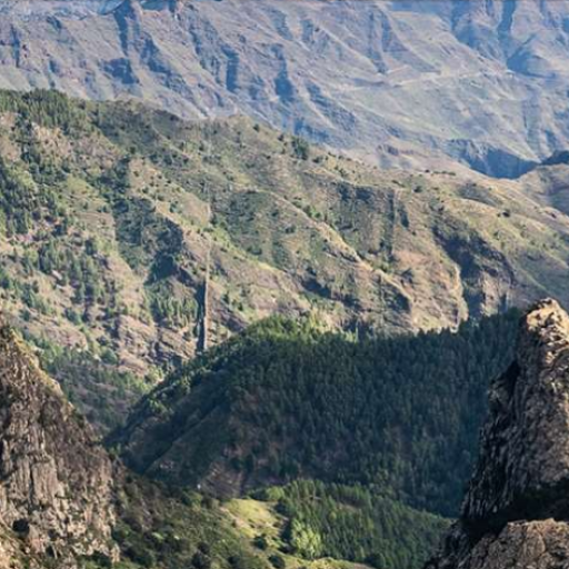 cómo moverse en la gomera