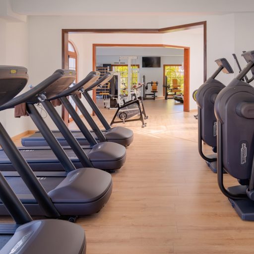 gimnasio-jardin-tecina