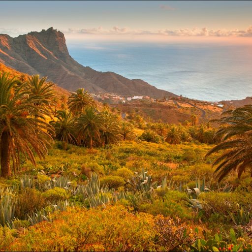 la-gomera-8
