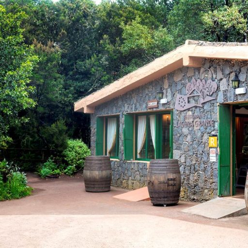 restaurante-laguna-grande-la-gomera