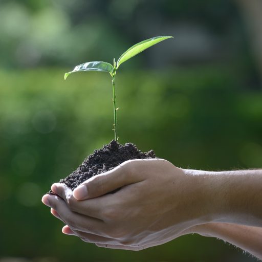 shutterstock_670073209