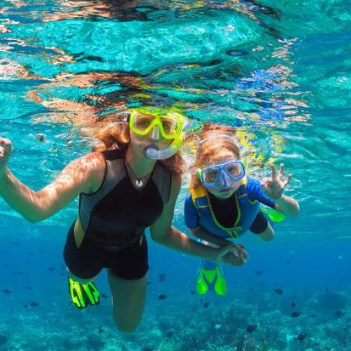 snorkel la gomera