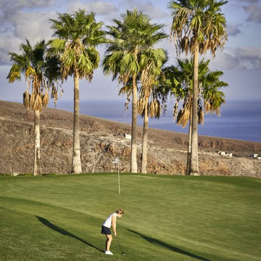 swing-con-vistas