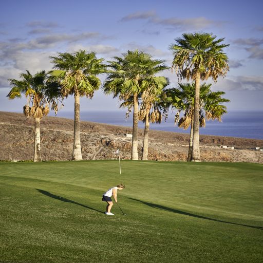 swing-con-vistas