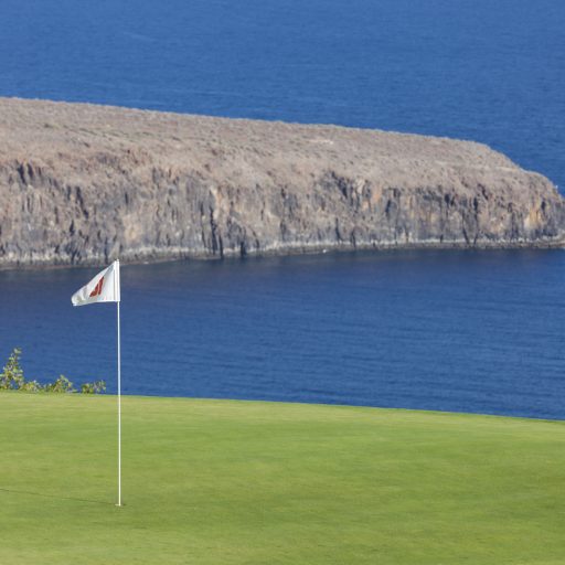 tecina_golf_005__peq