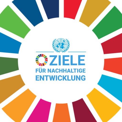 ziele-nachhaltige-entwicklung
